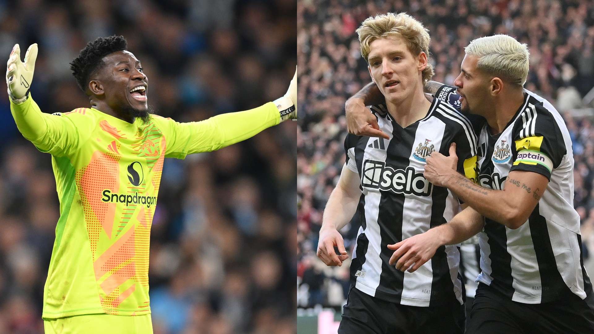 也让国际米 也让国际米